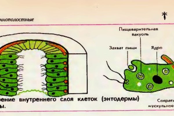 Как восстановить доступ к аккаунту кракен