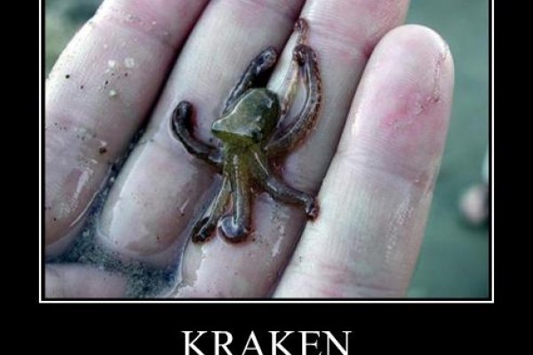 Kraken зайти на сайт